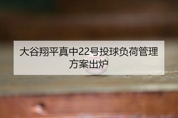 da-gu-xiang-ping-zhen-zhong-hao-tou-qiu-fu-he-guan-li-fang-an-chu-lu-3-542.jpg