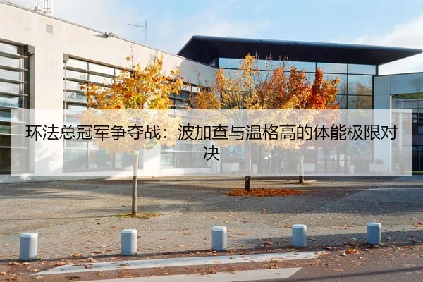 环法总冠军争夺战：波加查与温格高的体能极限对决