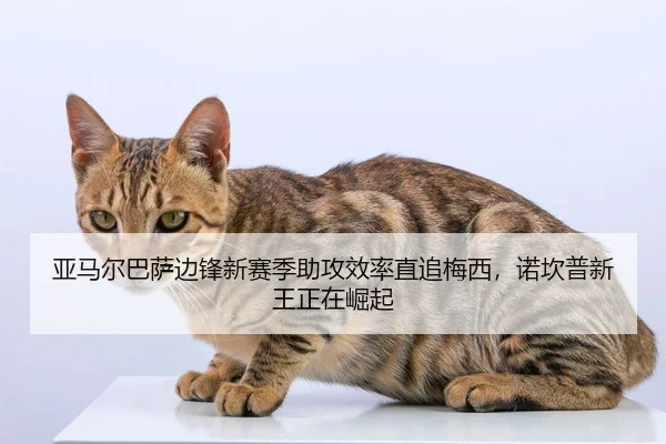 亚马尔巴萨边锋新赛季助攻效率直追梅西，诺坎普新王正在崛起